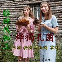 白桦茸养生茶 桦树茸白桦茸袋装茶 桦褐孔菌茶OEM贴牌代加工