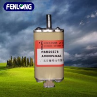 RS31快速熔断器订做-芬隆品牌