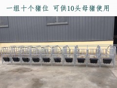 母猪定位栏 10猪位1组 现货出售