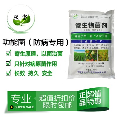 防病生物菌防治土壤预防根腐霉菌立枯病镰刀菌黑斑烂根霜