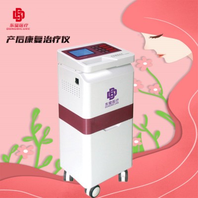 产后康复综合治疗仪简介