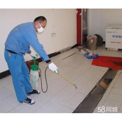 广州萝岗永和消杀服务公司，工厂仓库除虫，上门灭蟑螂除臭虫