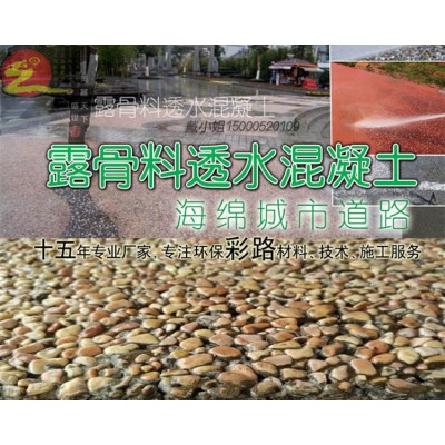 浙江杭州露骨料透水混凝土施工案例