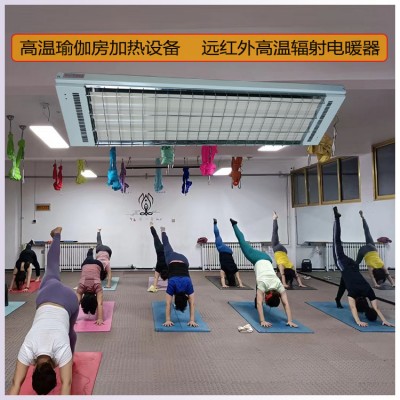 远红外高温辐射板道赫SRJF-X-40高温瑜伽采暖加热