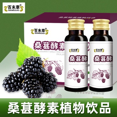 百未草桑葚酵素植物饮品 OEM代工 庆葆堂