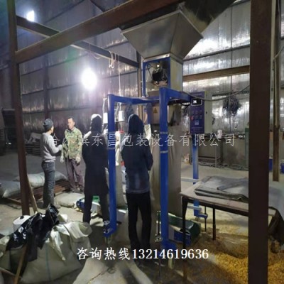 萍乡市海城市大米小麦花生米玉米压片定量打包封袋机