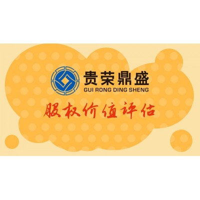 成都公司股权评估企业转让评估