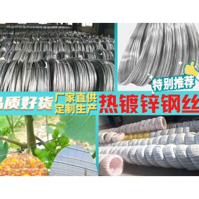 大棚农业钢丝厂家，农业棚架搭架钢丝