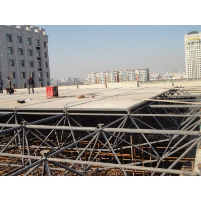 吉林长春市网架公司-长春市网架加工厂-长春市螺栓球网架公司
