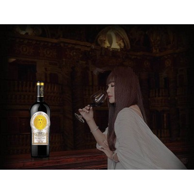 IRENENA红酒温碧霞自创品牌进口智利干红葡萄酒佳酿