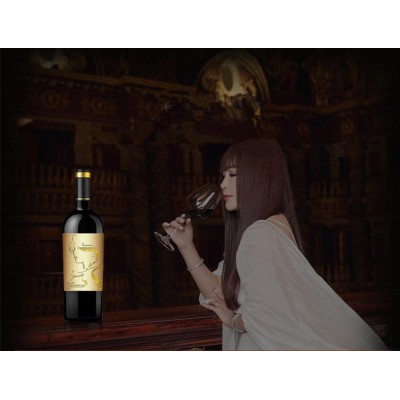 IRENENA红酒温碧霞自创品牌进口法国葡萄酒海潮歌慕干红