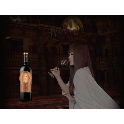 IRENENA红酒温碧霞自创品牌进口智利葡萄酒美娜干红