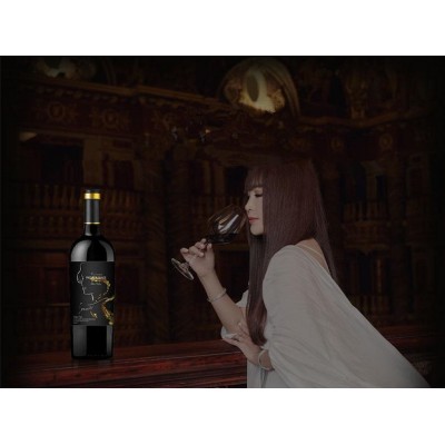 IRENENA红酒温碧霞自创品牌进口法国葡萄酒海潮酒庄干红