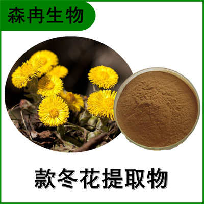 森冉生物 款冬花提取物 艾冬花提取物 比例提取原料粉