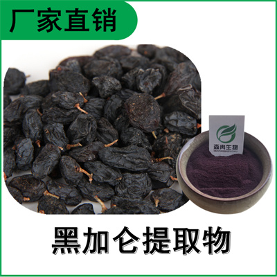 森冉生物 黑加仑提取物 黑加仑粉 比例提取原料粉