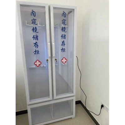 有机内窥镜储存柜双门柜