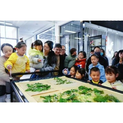 苏州三六六青少年趣味实践营｜喂蚕缫丝+桑葚采摘火热报名中