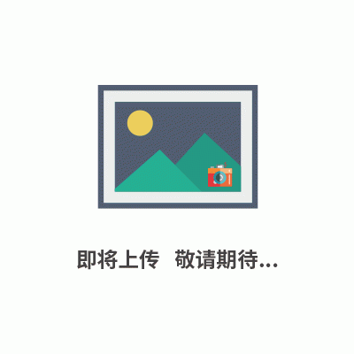 进口荧光定量PCR具有高通量性和高效性
